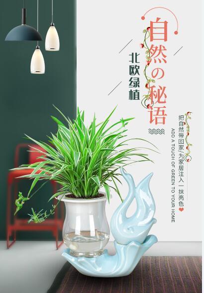 推荐几种Jiyin水培植物。筹集更容易吗？什么？