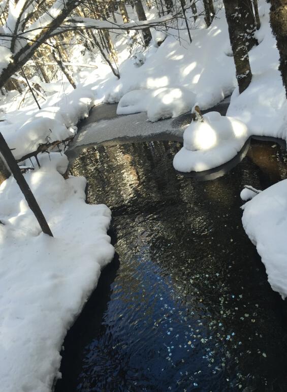 大雪纷飞天泡汤泉是怎么办的领会？