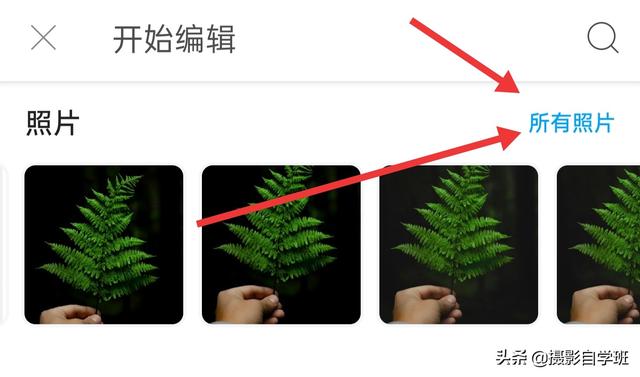 得意和植被像片前期咋拍摄简单？后期有哪些修图本领？