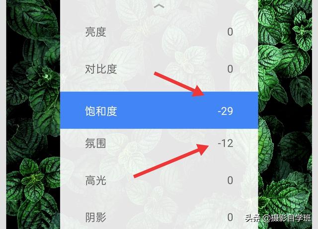 夏季花卉兴盛，拍照咋拍场面？很多绿叶在一道的像片咋和好看？