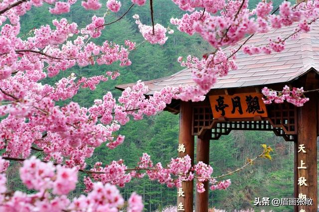 《春》中的春花图中的花美在何处？