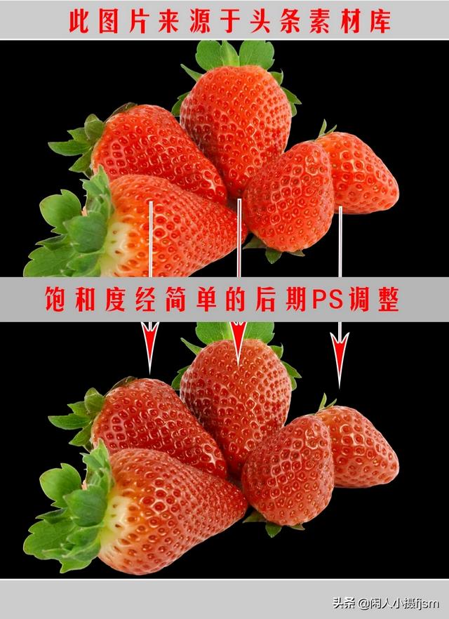 残花，落花，凋零的花……怎样拍摄出质感？