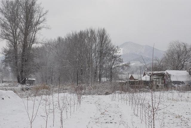 干什么韩愈的《春雪》被誉为千古杰作？春雪有何更加之处？