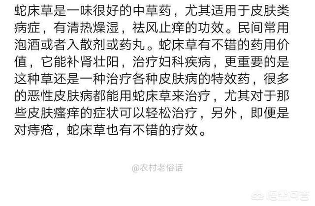 乡下有一片草。据说蛇喜欢睡在蛇床的顶部，这是真的吗？蛇床的功能和角色是什么？