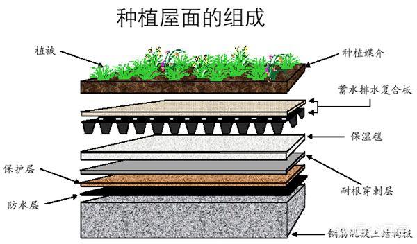 楼顶花圃如何安排？