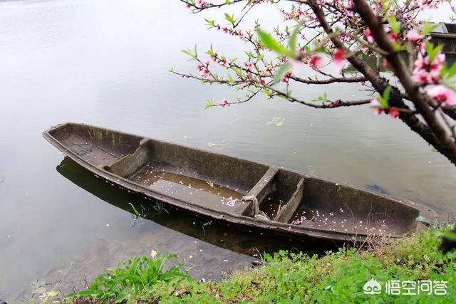 桃花还好吗拍场面？