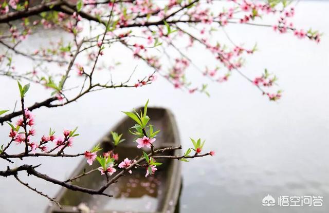 桃花还好吗拍场面？