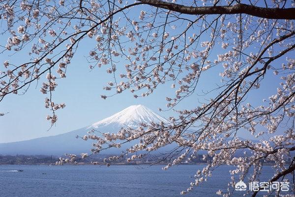 和樱花关系的场景，给你留住深沉回忆的有哪些？