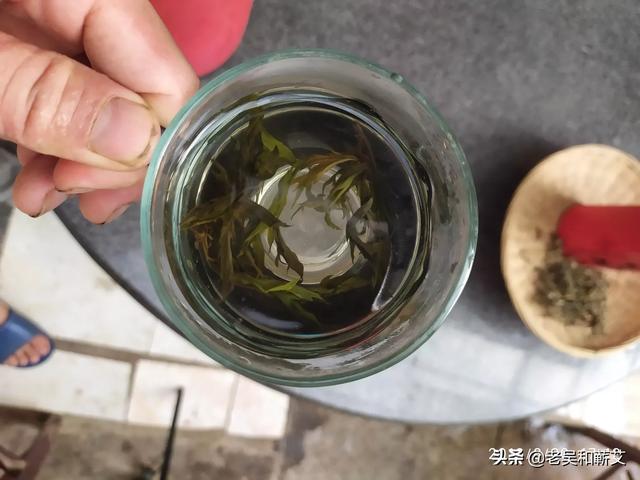 艾草图片大全大图:常喝艾草茶对人体有长处吗？