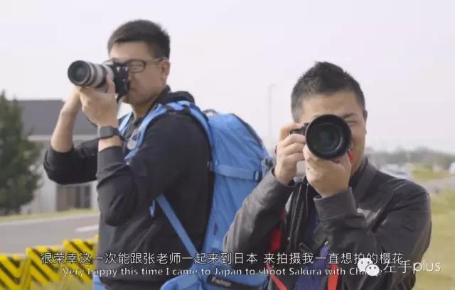 普遍小白如何能拍出巨匠级其余樱花像片？