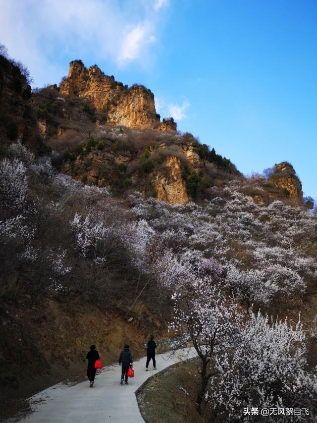 花儿图片:又到拍摄花儿的时节，怎样运用花儿的时髦来表达情绪？