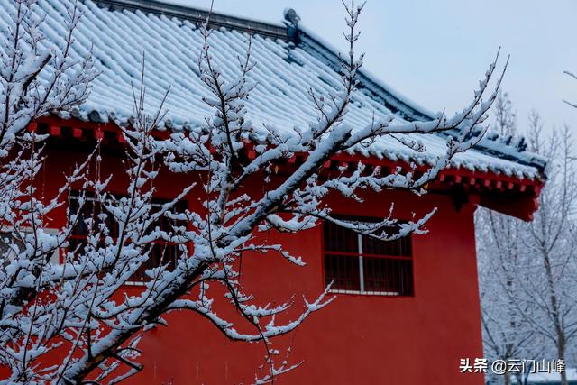 雪的图片实处:能发一下你爱好的三张雨景拍照大作供人观赏吗？