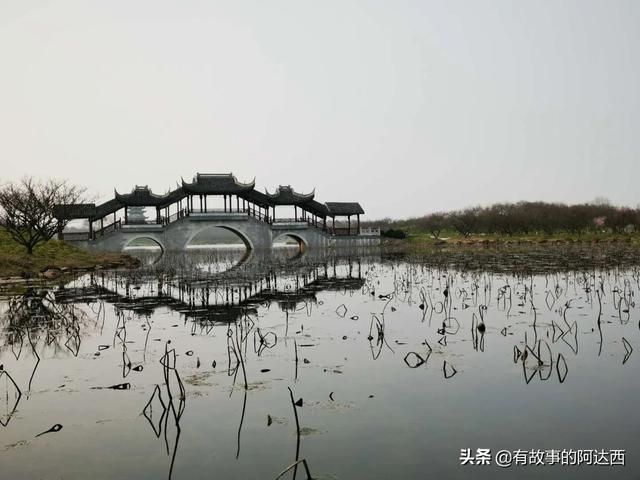 最美荷花图片大全高清:荷花从钻出海面到干萎，哪个阶段最犯得着拍摄？