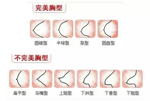 竹笋型(竹笋型是什么意思啊)