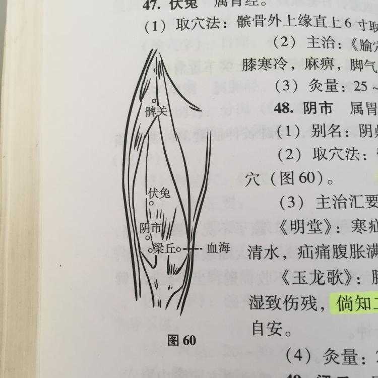 41阴，41省是什么梗