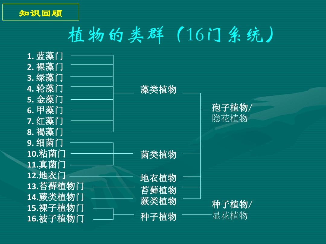 植物分类表，植物最完整的分类图